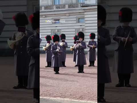 Battle of Britain pilot honoured at Buckingham Palace