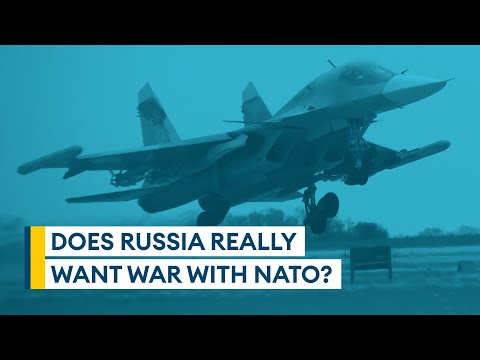Does Russia really want war with Nato? | Sitrep podcast