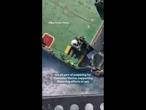 847 NAS Wildcat winch skills🚁