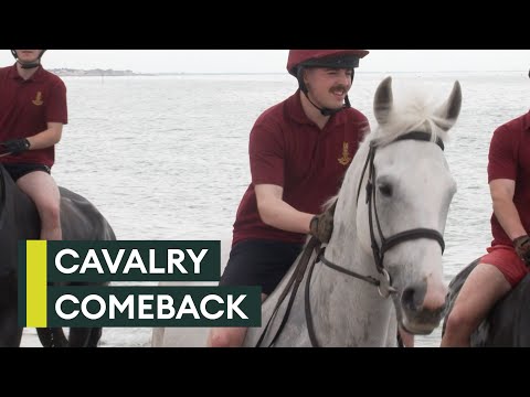 From a bolt to the beach: Injured army horse makes remarkable comeback