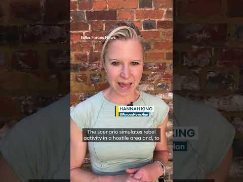 No-one expected this at 846 Naval Air Squadron! – Military & War News