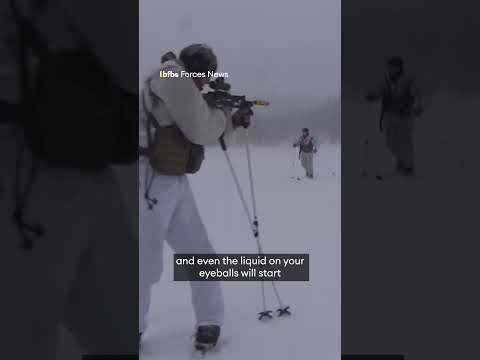 Cold killer: The two enemies in Arctic warfare