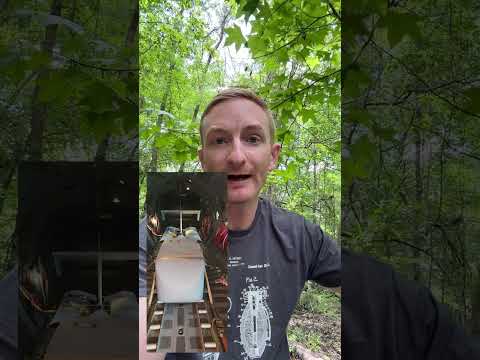 Green Berets testing glider drones for sneaky resupply