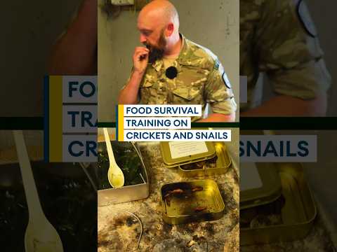 Survival Training: Wild food rations🌿🐌