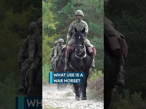 Could war horses give British Army a military advantage?