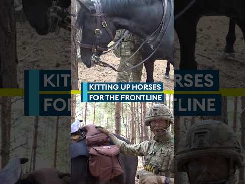 Saddle Up! Kitting horses for the frontline
